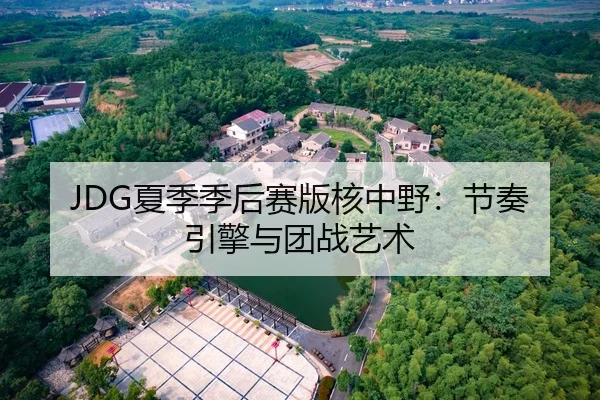 JDG夏季季后赛版核中野：节奏引擎与团战艺术